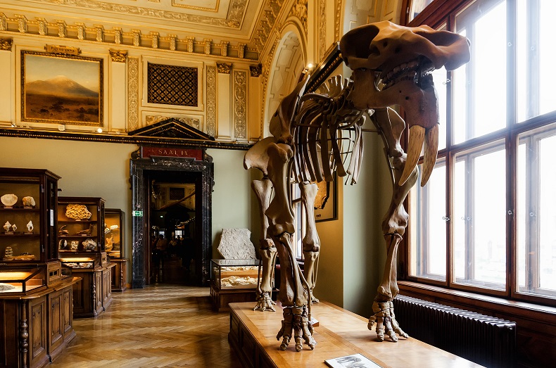 Naturhistorisches Museum in Wien